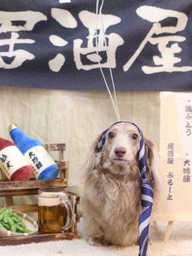 20240620ぺこちゃん